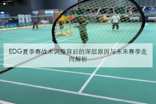 樊振东新周期训练调整下国乒男单竞争格局与未来走势深度解析